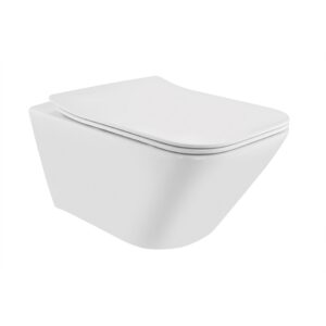 0055227_rimless-blind-installation-wall-hung-wc-white_960