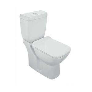 Bowl With Cistern
