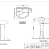 Rimless Wall Hung WC