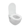 Wall Hung WC